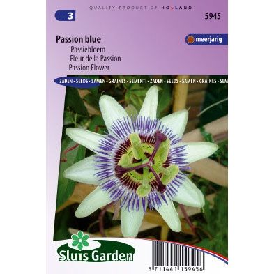 Passiebloem zaden Passiflora coerulea