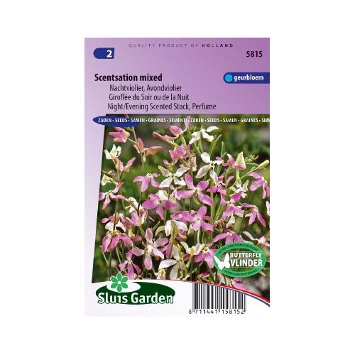 Matthiola Longipetala zaden Scentsation Violier zaden