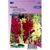 Antirrhinum Majus Maximum zaden Tip Top mix