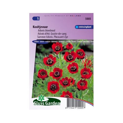 Kooltjevuur zaden Pheasants Eye