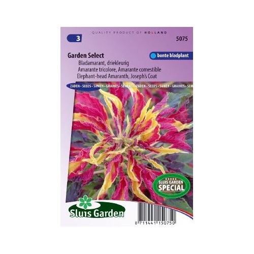 Amaranthus Gangeticus zaden Garden Select