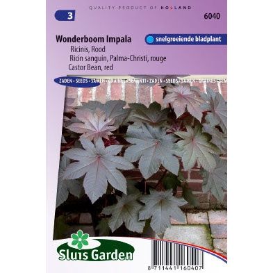 Ricinus Communis Zaden Impala Wonderboom huismerk kopen in de aanbieding Ricinus Communis Zaden Impala Wonderboom huismerk kopen in de aanbieding