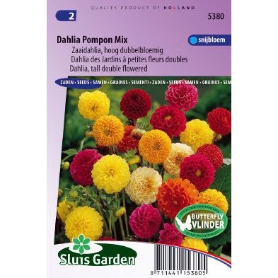 Dahlia variabilis pompon mix