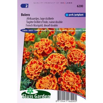 Afrikaan zaden Tagetes patula bolero