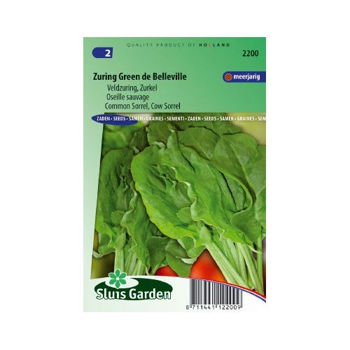 Zuring zaden Green de Belleville rumex