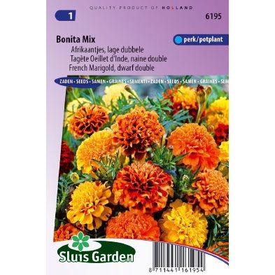 Afrikaan zaden Tagetes patula bonita mix