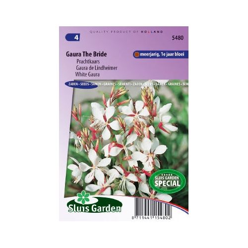 Gaura Lindheimeri zaden The Bride prachtkaars