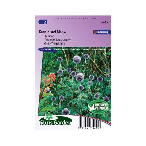 Echinops Ritro zaden Kogeldistel Blauw