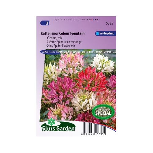 Cleome Spinosa zaden Colour Fountain Kattensnor