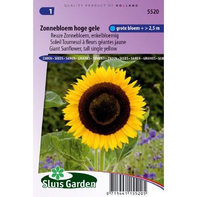 Zonnebloem zaden Helianthus annuus giganteus