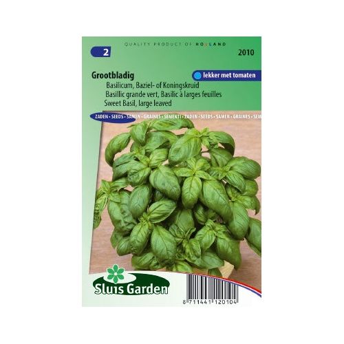 Basilicum zaden grove Ocimum Basilicum