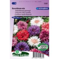 Centaurea Cyanus zaden Korenboem dubbel mix - afbeelding 2