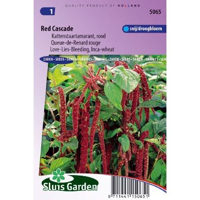 Amaranthus caudatus Red Cascade Kattenstaart zaden