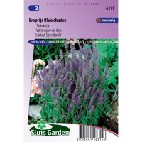 Veronica Spicata zaden Blue Shades ereprijs