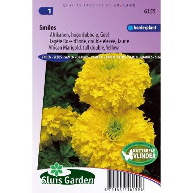 Afrikaan zaden Tagetes erecta smiles