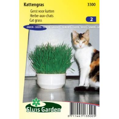 Kattegras