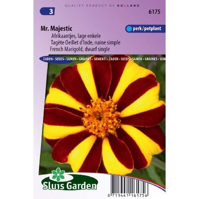 Afrikaan zaden Tagetes patula mr. majestic