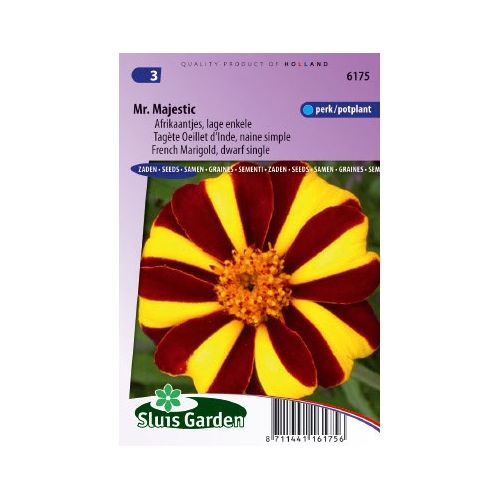 Tagetes Patula Nana zaden Mr. Majestic afrikaan