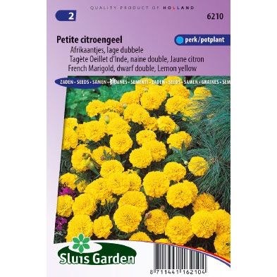 Afrikaan zaden Tagetes patula petite yellow