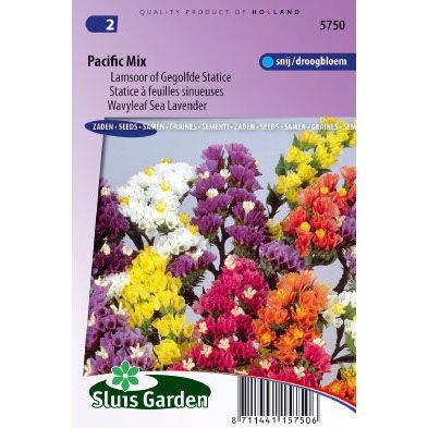 Limonium sinuatum pacific mix Lamsoor zaden