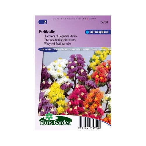 Limonium Sinuatum zaden Pacific Mix lamsoor