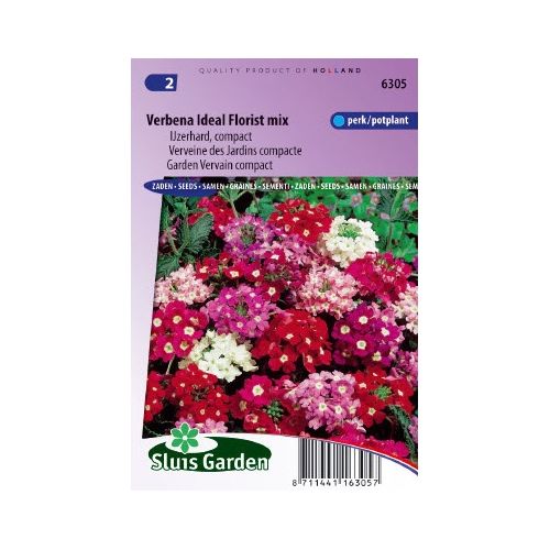 Verbena zaden Ideal Florist Mix ijzerhard