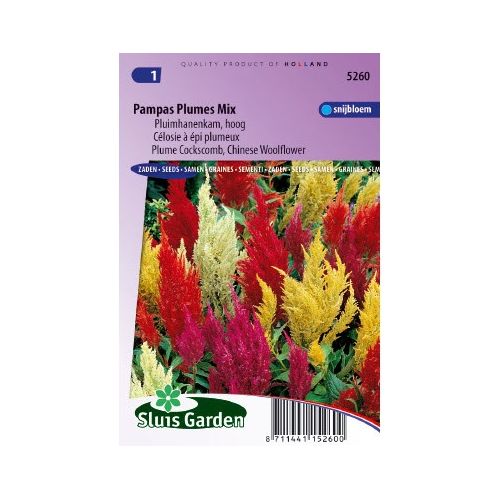 Celosia Argentea Plumosa zaden Pampus Hanekam