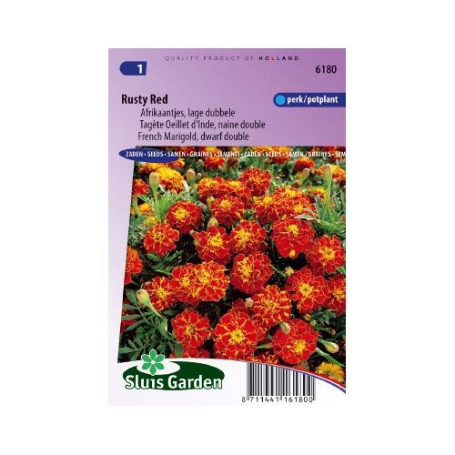 Tagetes Patula zaden Rusty Red afrikaantje