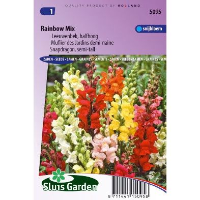 Antirrhinum majus nanum rainbow mix Leeuwebek