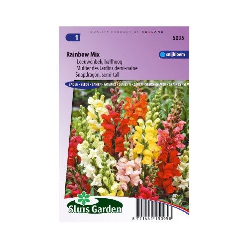 Antirrhinum Majus zaden Rainbow mix Leeuwebek