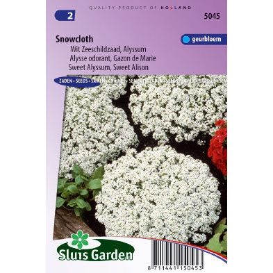 Lobularia maritima snowcloth Schildzaad zaden