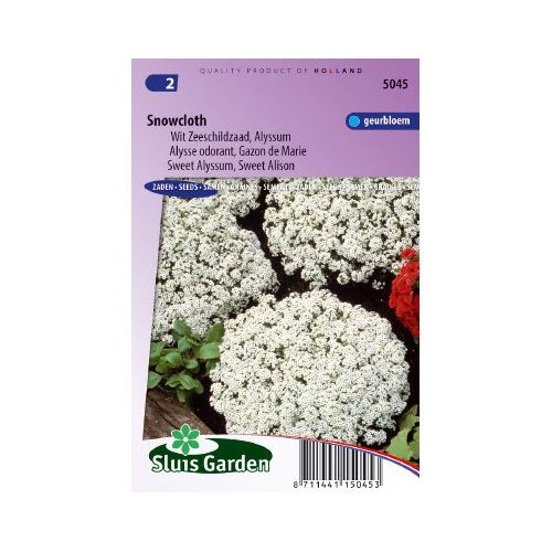 Lobularia Maritima zaden Snowcloth Schildzaad