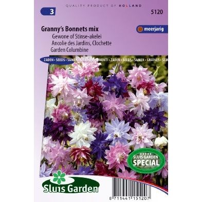 Aquilegia vulgaris Grannys Bonnets mix akelei