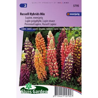 Lupine zaden Lupinus Russell Hybrids