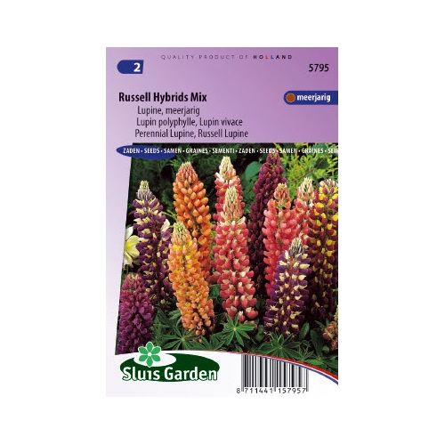 Lupinus Polyphyllus zaden Russell Hybrids Mix