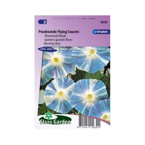 Ipomoea Tricolor zaden Flying Saucers Klimmende Winde