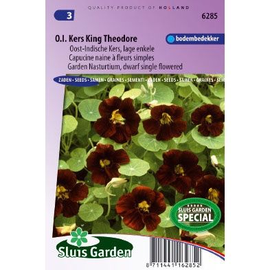 Oost Indische kers zaden Tropaeolum mn black velvet