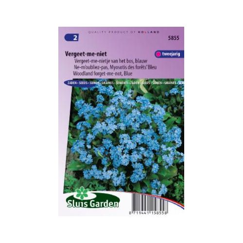 Myosotis Indigo zaden Vergeet-Mij-Niet blauw