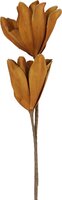 Kunstbloem protea met glitter 87 cm licht bruin