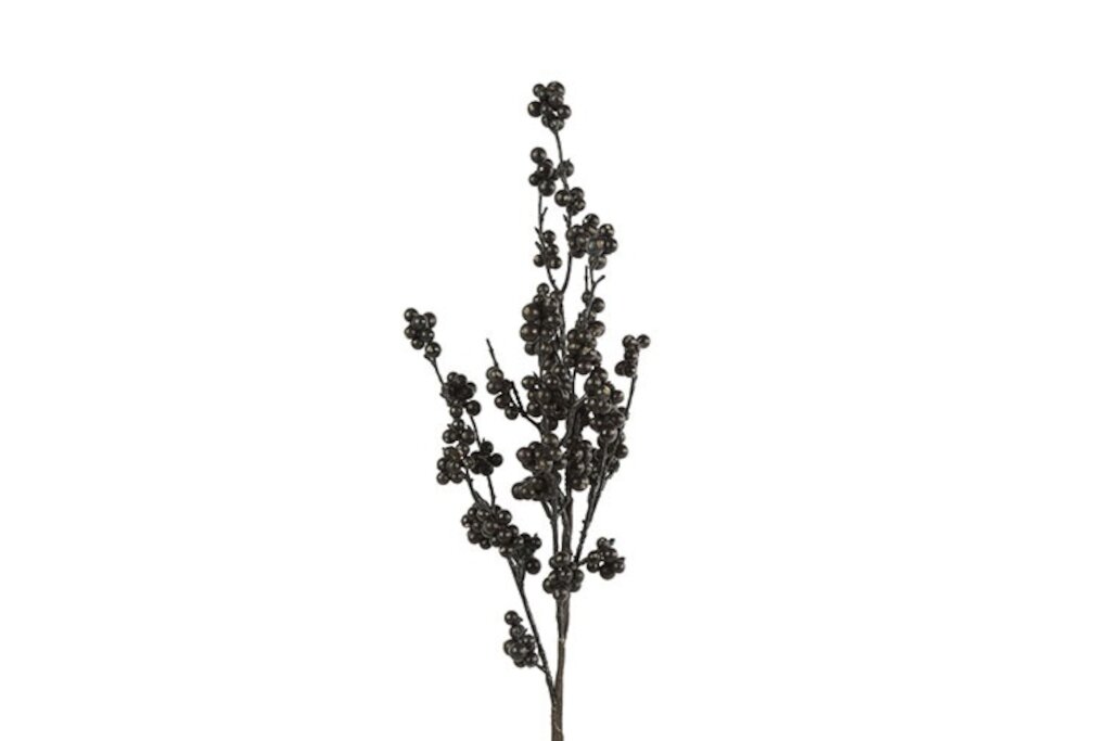 Countryfield Pyracantha S blauw 80 cm