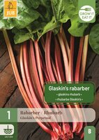 Rabarber glaskins perpetual