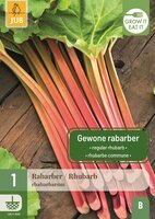 Rabarber Rhubarb rhabarbarum