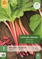 Rabarber Victoria