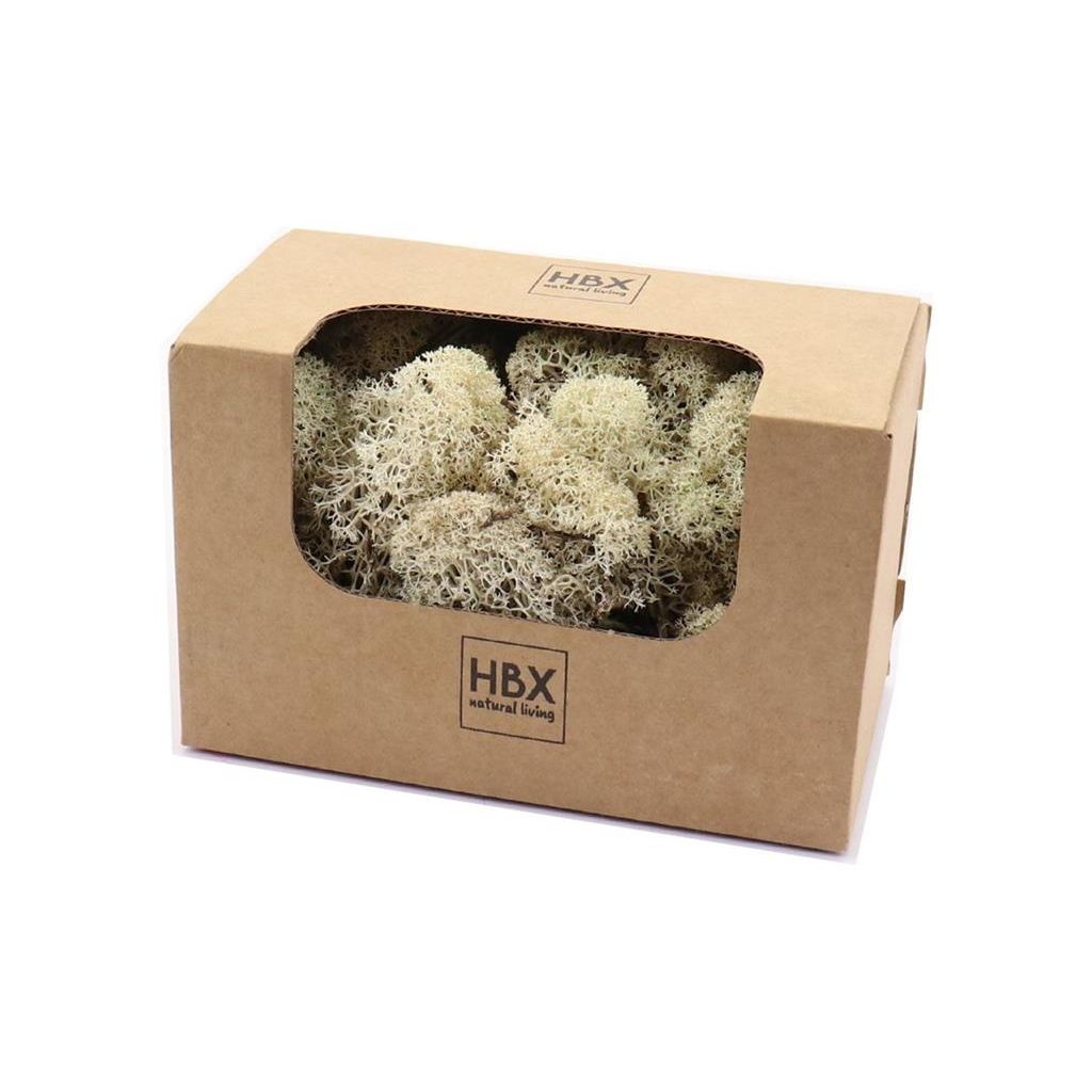 HBX natural living Reindeer Moss 50gr