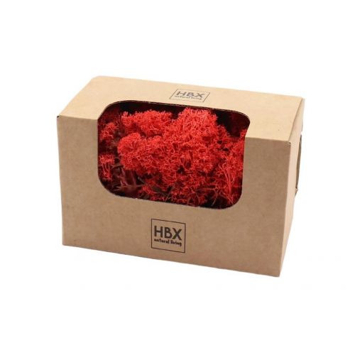 Rendiermos rood 50 gram
