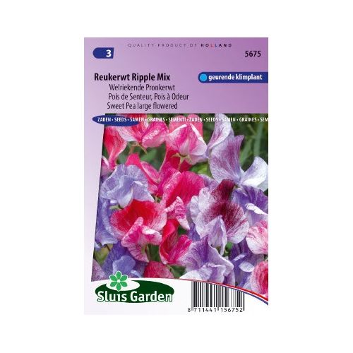 Lathyrus Odoratus zaden Ripple Formula Mix reukerwt