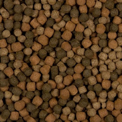 Sanikoi colour hi-grow 6mm 3000 ml - afbeelding 2