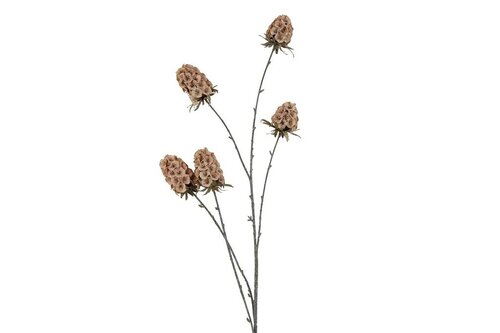 Countryfield zijden Scabiosa 117 cm beige
