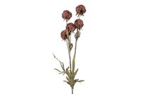 Countryfield zijden Scabiosa 81 cm rood