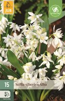Scilla siberica alba 15 bollen